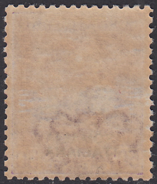 SOM21 - 1930 - Parmeggiani type stamp overprinted SOMALIA ITALIANA, c. 50 lilac new with original gmma (139)