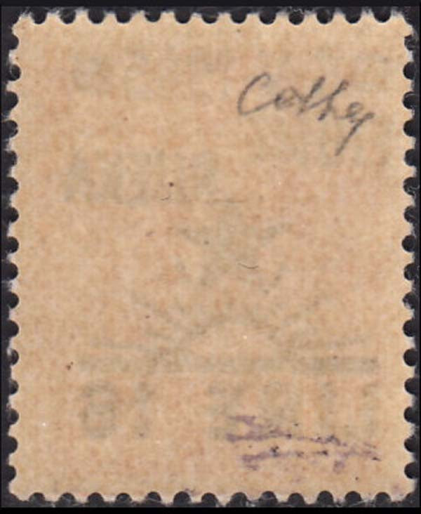 T209 - 1945 - Occupazione Jugoslava di Fiume, 16L. su 75c. rosa carminio nuovo con gomma integra, senza filigrana (21)