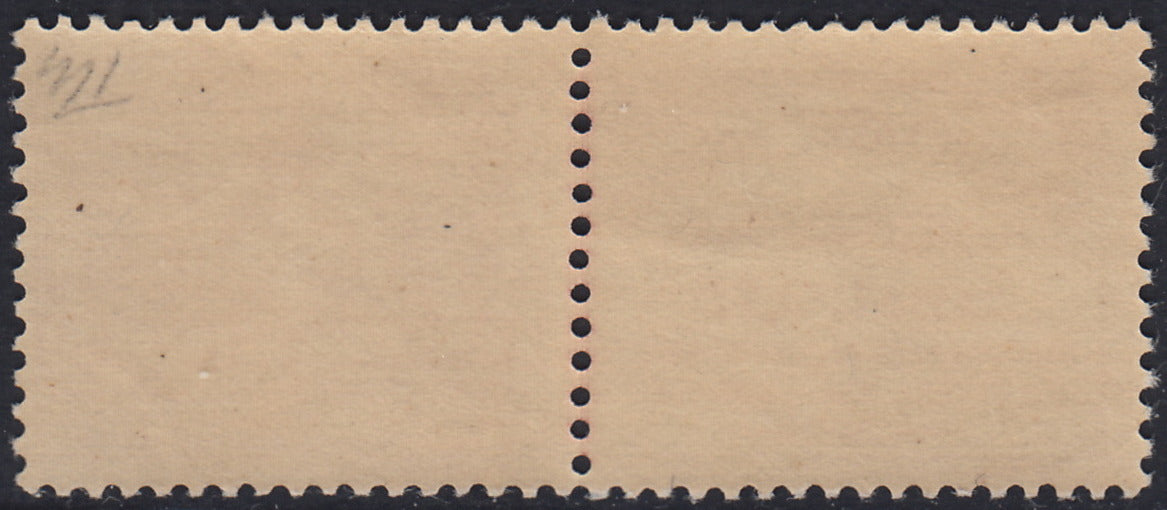 T26_10 - 1936 - Francobolli assicurativi e previdenza Postetelegrafonici, c. 25 rosso violetto nuovo con gomma integra (11)