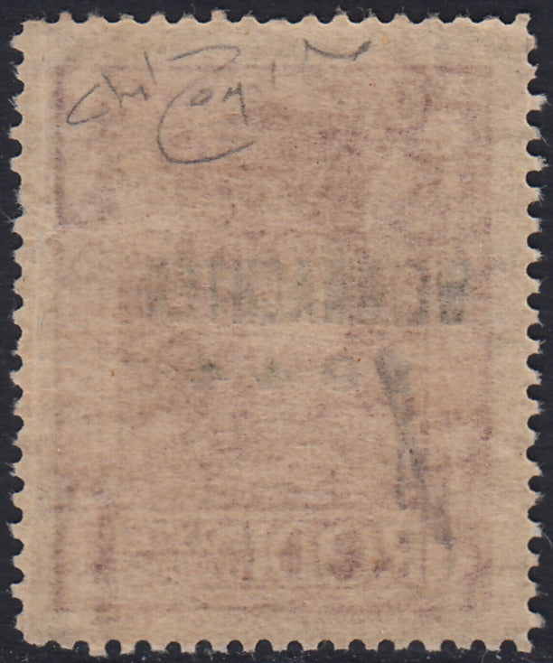 T26_26 - 1944 - Occupazione tedesca dell'Egeo, francobollo di Egeo del 1932 (56/I) con soprastampa del I tipo "WEIHNACHTEN 1944" nuovo gomma integra (9)