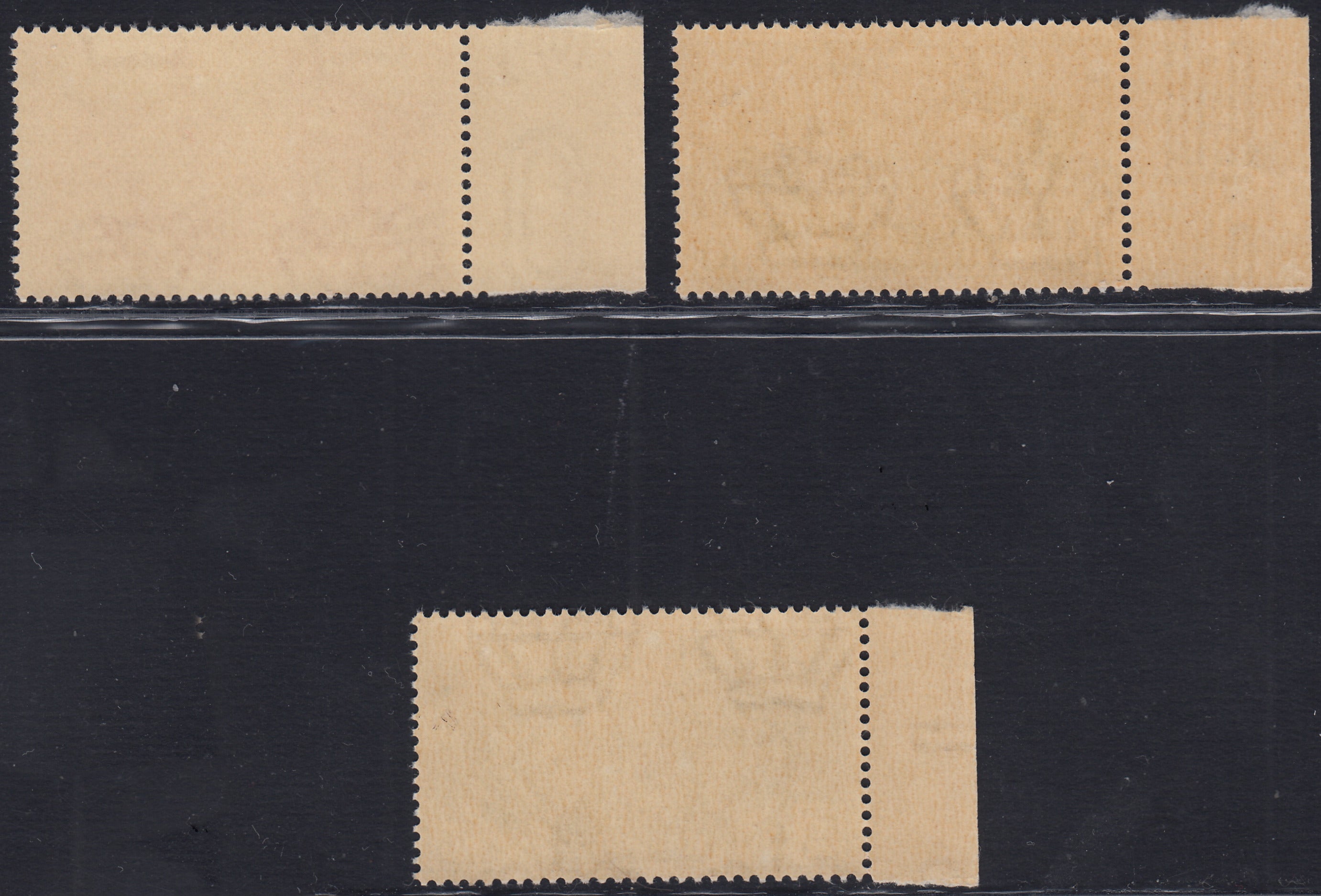 T26_4 - 1941 - Fratellanza d'armi italo-tedesca, NON EMESSI, gomma integra (457A,457B, 457C)