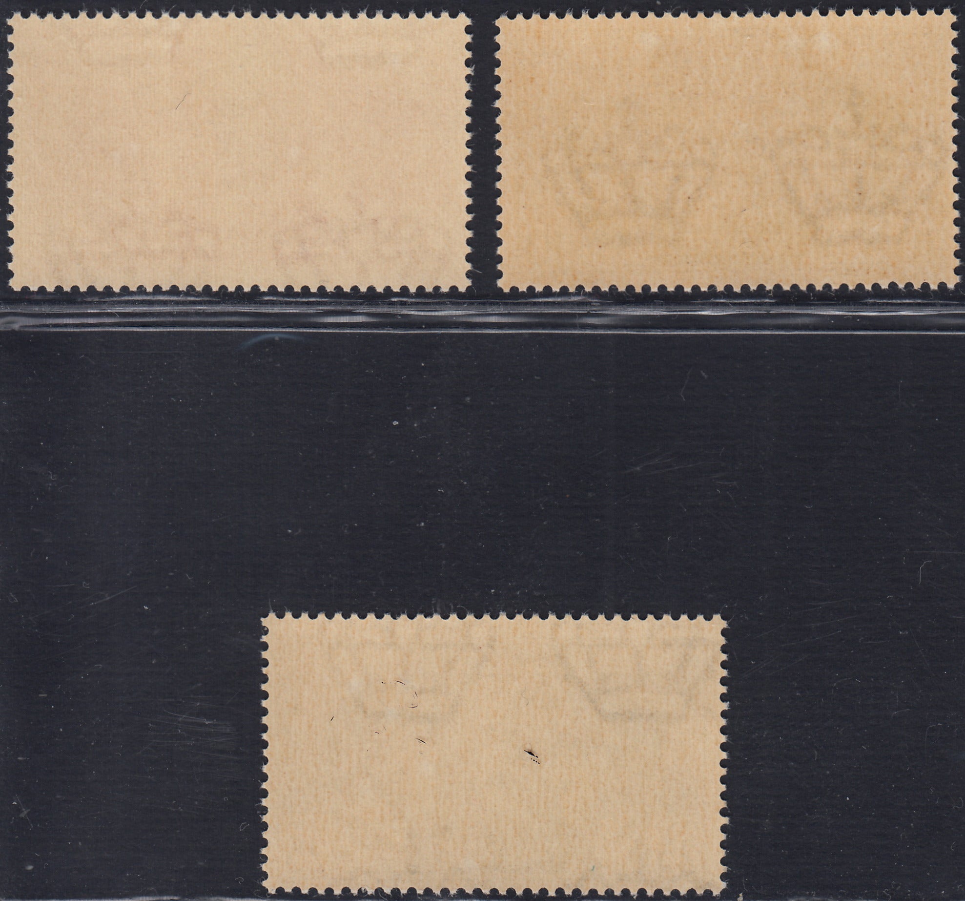 T26_5 - 1941 - Fratellanza d'armi italo-tedesca, NON EMESSI, gomma integra (457A,457B, 457C)