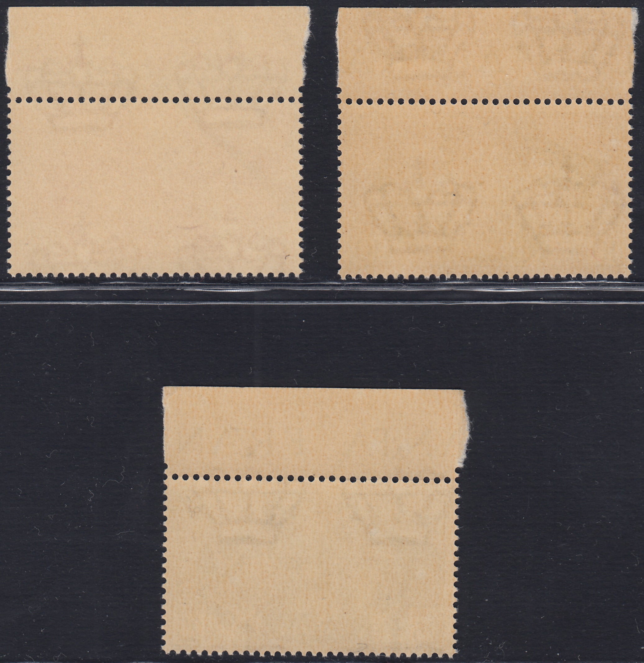 T26_6 - 1941 - Fratellanza d'armi italo-tedesca, NON EMESSI, gomma integra (457A,457B, 457C)