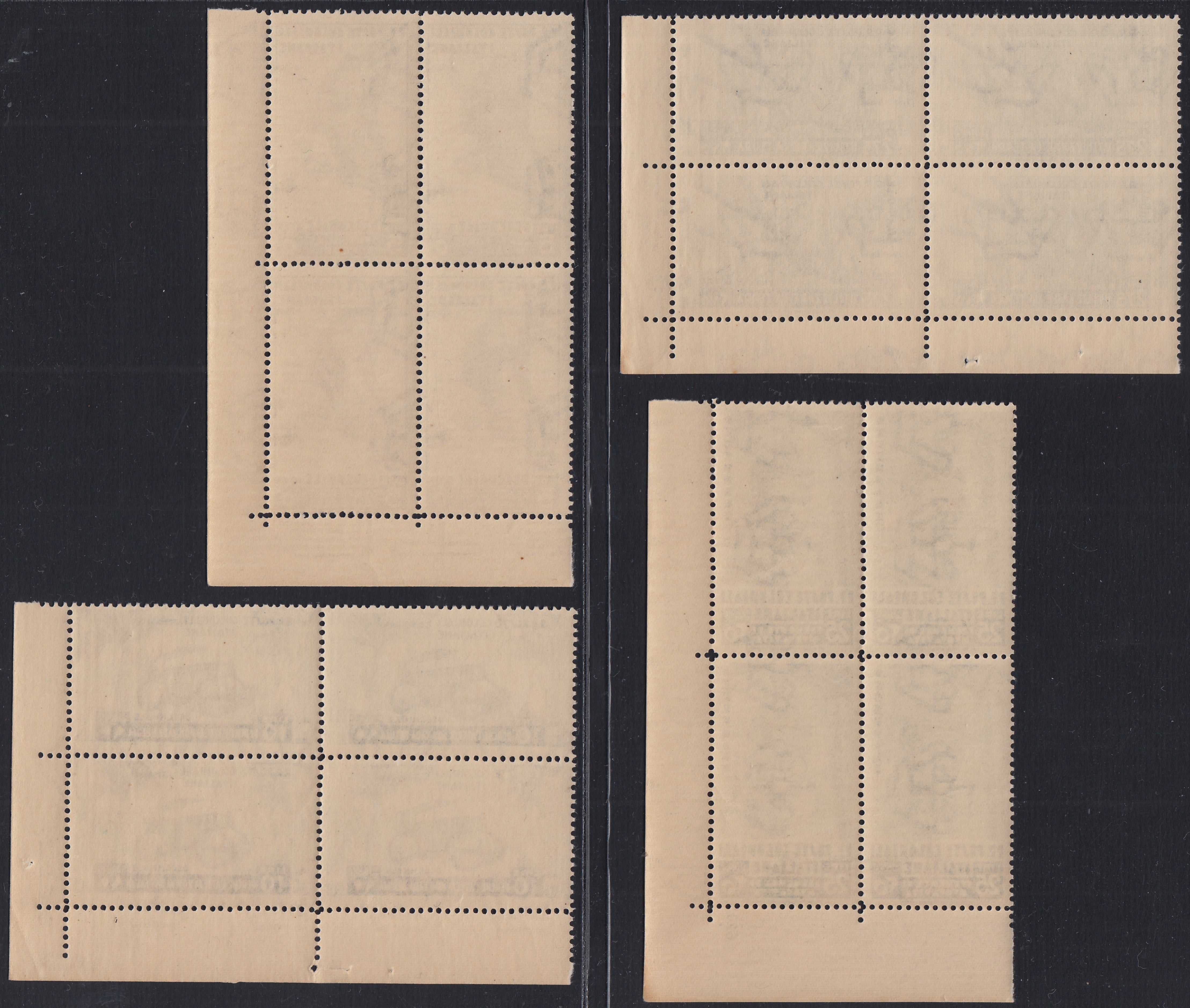 EG6 - 1932 - General Issues - Garibaldi's Cinquantenary complete series of new Ordinary Mail and Air Mail with intact rubber, splendid (1/10 + A1/A7).