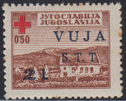 TB43 - 1948 - Pro Croce Rossa, 2L. su 0,50d. bruno nuovo con gomma originale (4)