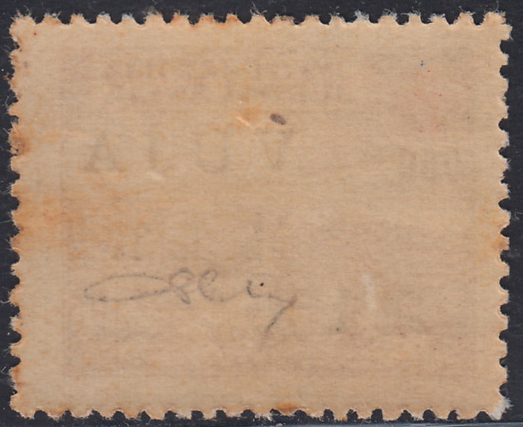 TB43 - 1948 - Pro Croce Rossa, 2L. su 0,50d. bruno nuovo con gomma originale (4)