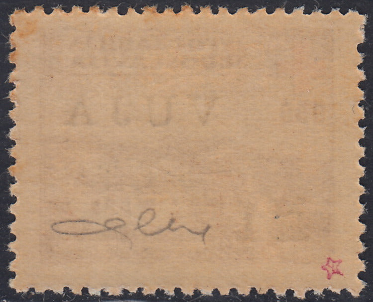 TB43 - 1948 - Pro Croce Rossa, 2L. su 0,50d. bruno nuovo con gomma originale (4)