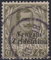 Trentino10 - 1918 - Floreale, c. 45 oliva soprastampato "Venezia Tridentina" e con la "T" inclinata a destra usato (25d)