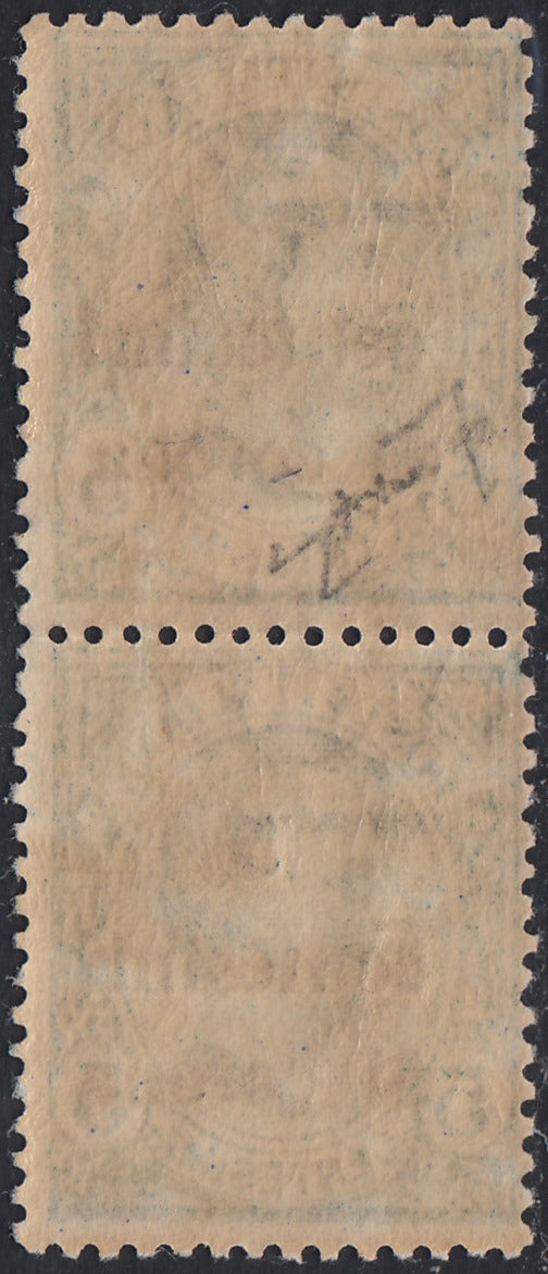 TrentoT16 - 1919 - Leoni, c.5 verde coppia verticale di cui il superiore con la cifra "5" mancante, nuova gomma integra (3d)