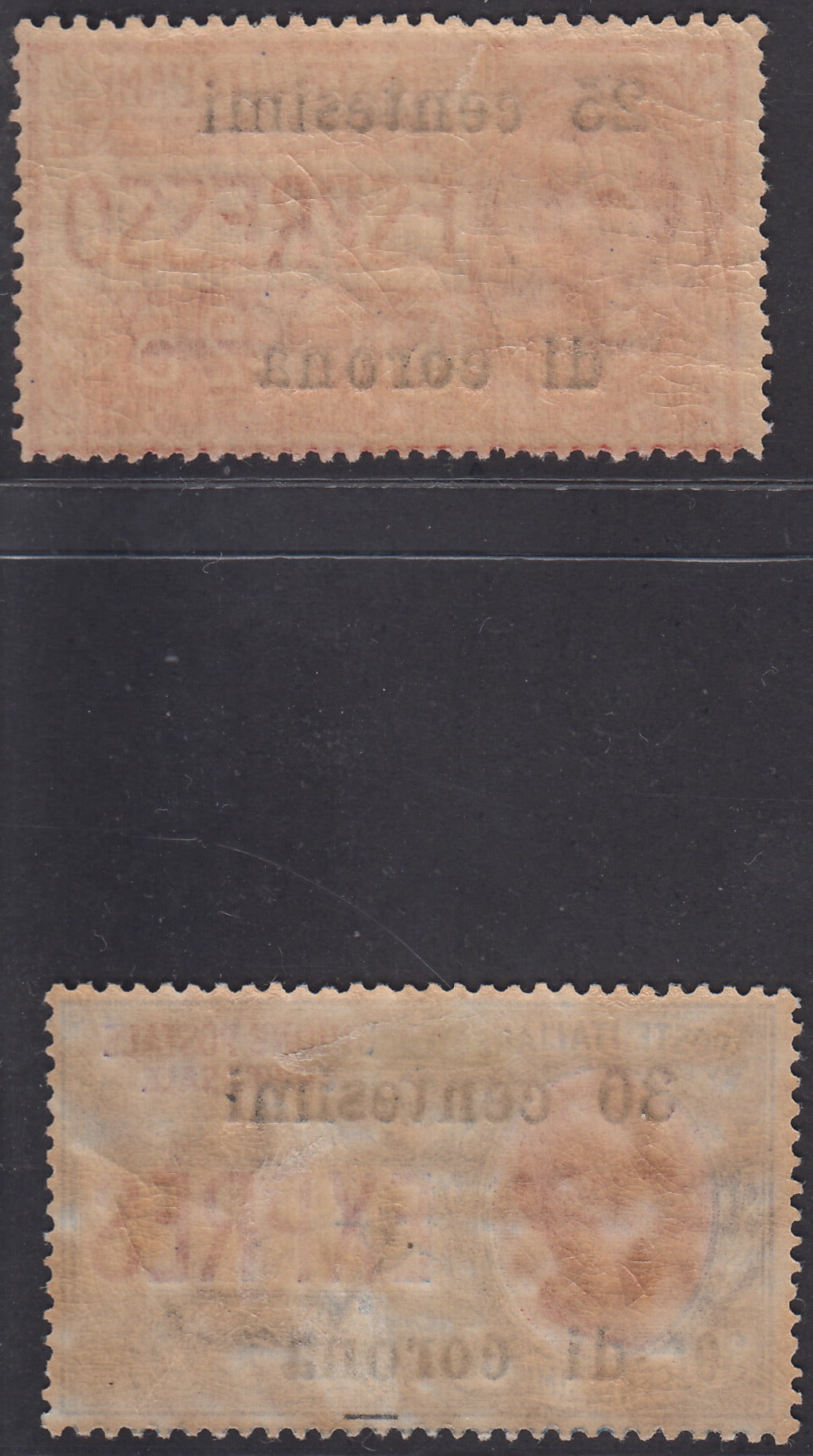 TrentoT2 - 1919 - Espressi di Regno soprastampati con valori in centesimi di corona, serie di due valori nuovi con gomma originale (1, 2)