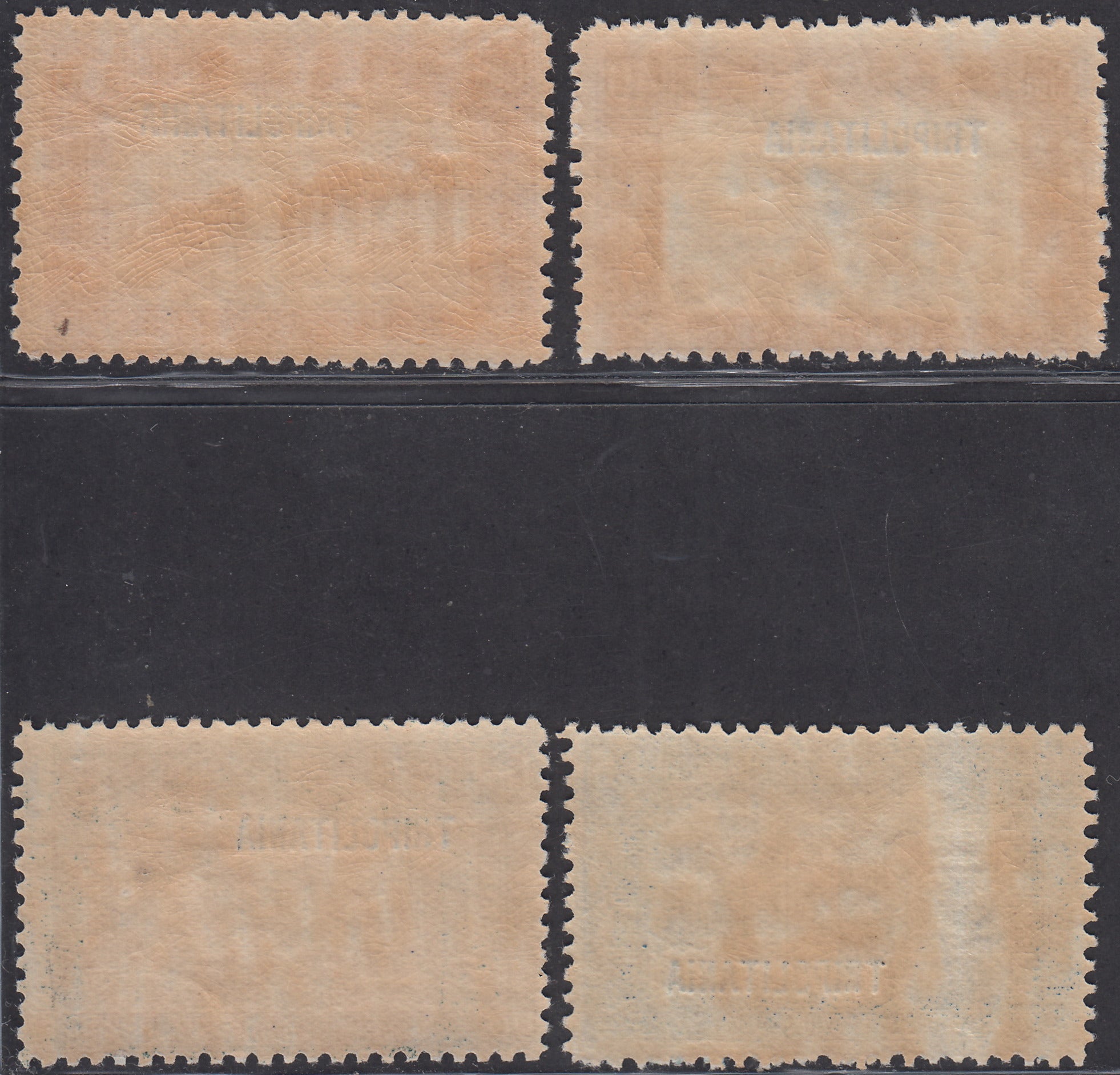 Trip12 - 1927 - Milizia i serie, quattro esemplari nuovi con gomma integra (39/42)