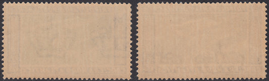 Trip32 - 1933 - Crociera italo Balbo, serie di due valori nuova gomma integra, illibati. (A28/29)