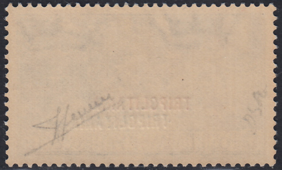 Trip33 - Ferrucci L. 1.25 light blue with double TRIPOLITANIA overprint of which one in new albino rubber intact (67, variety)