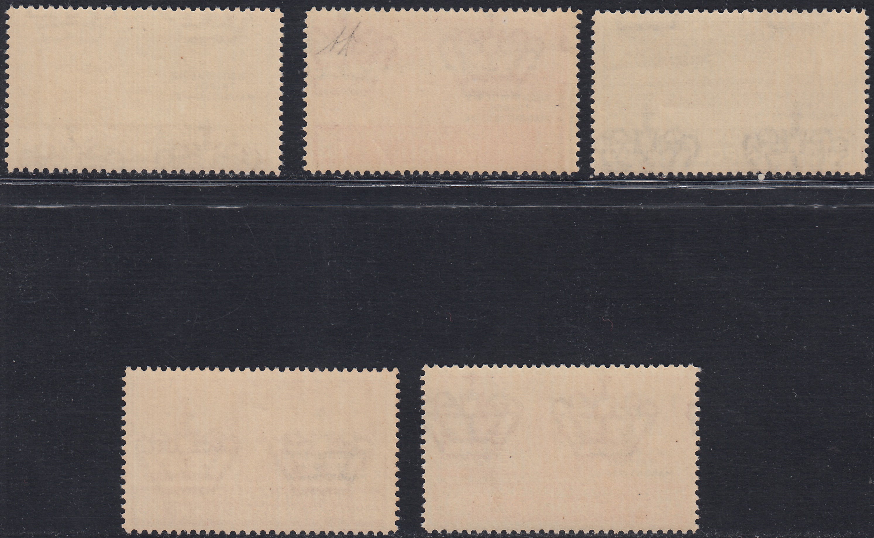 Trip34 - 1924 - Posta Aerea, VIII fiera di Tripoli soprastampata "Circuito delle Oasi", serietta di cinque valori nuova gomma integra (34/36 + 39/40)