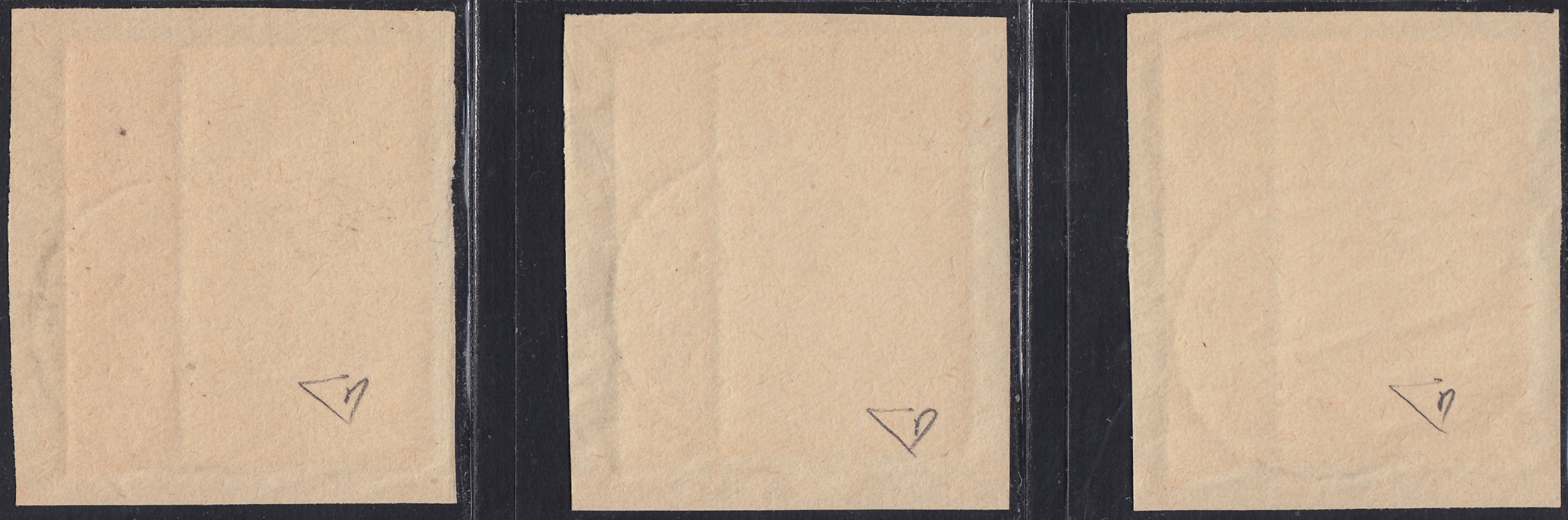 UT263 - 1951 - Feste e Concorsi Ginnici Internazionali a Firenze, serie completa di tre valori  usati su frammento (661/663)