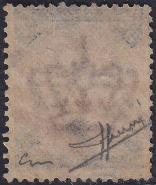 UT448 - 1891/96 - Umberto I L. 5 carminio e azzurro usato con annullo originale (64)