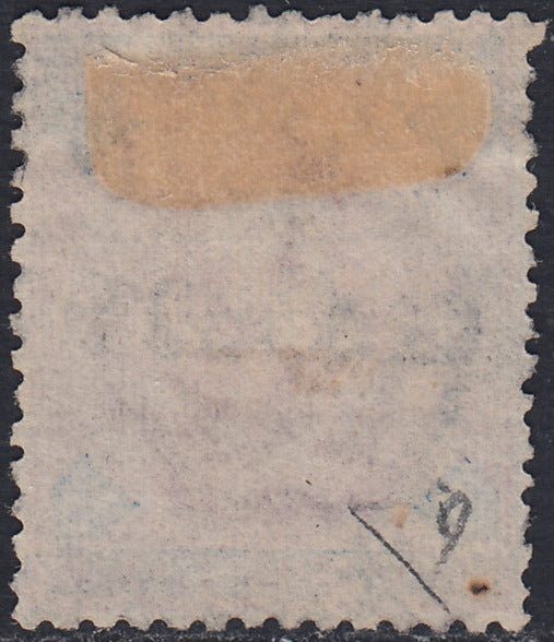 UT452 - 1891/96 - Umberto I L. 5 carminio e azzurro usato con annullo originale (64)