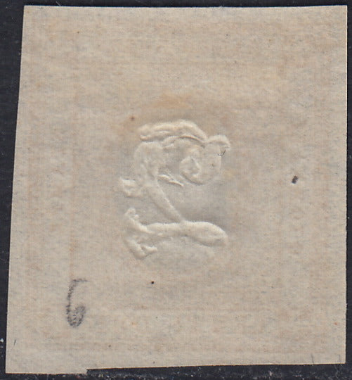 UT459 - 1862 - Francobollo per le stampe, c. 2 bistro nuovo con gomma originale (10)