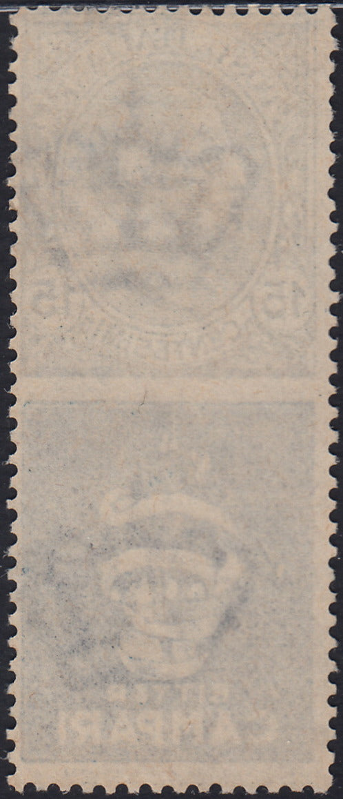 Kingdom of Italy, advertising issues, c. 25 light blue and brown "Piperno" new with intact rubber (6)