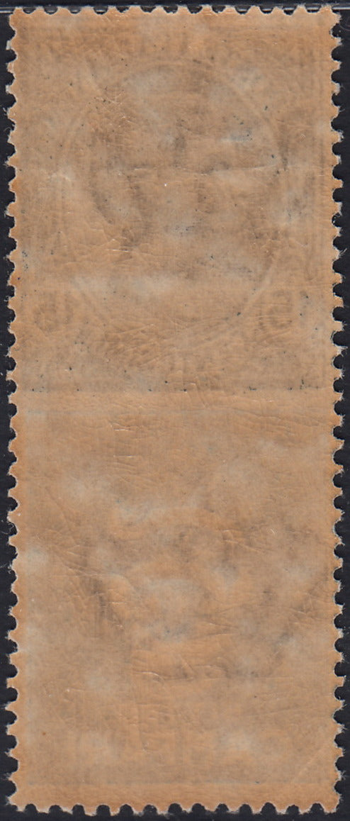 Kingdom of Italy, advertising issues, c. 25 light blue and brown "Piperno" new with intact rubber (6)