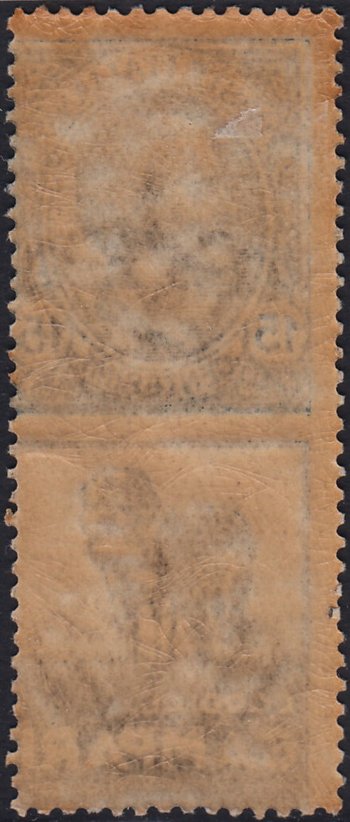 Kingdom of Italy, advertising issues, c. 25 light blue and brown "Piperno" new with intact rubber (6)