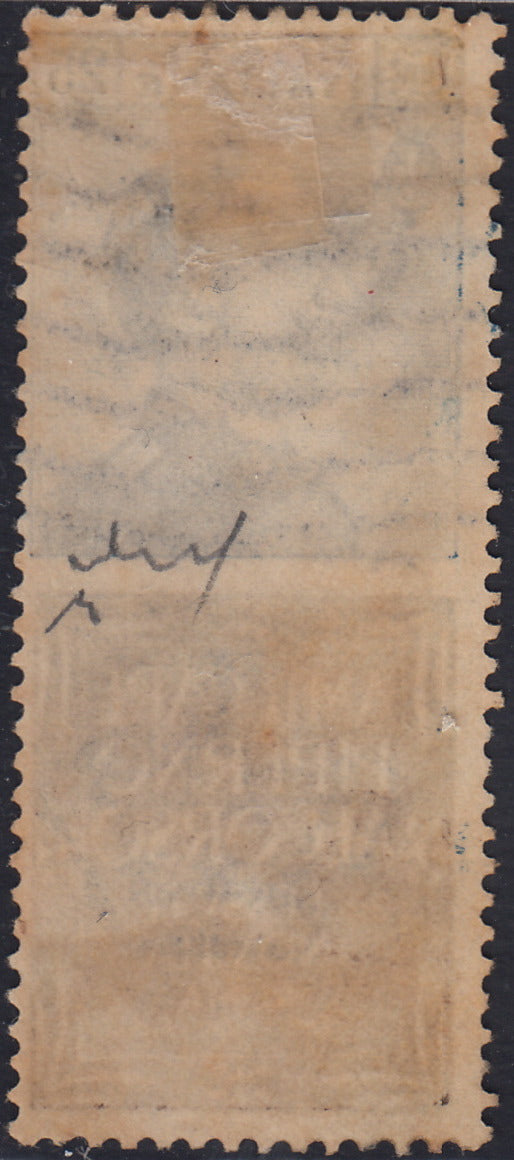 Kingdom of Italy, advertising issues, c. 25 light blue and brown "Piperno" new with intact rubber (6)