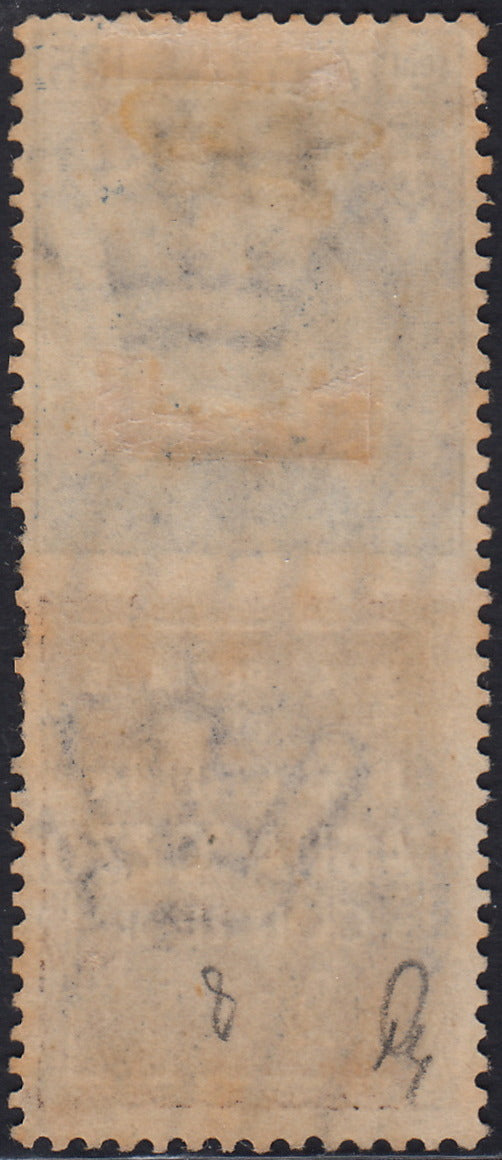 Kingdom of Italy, advertising issues, c. 25 light blue and brown "Piperno" new with intact rubber (6)