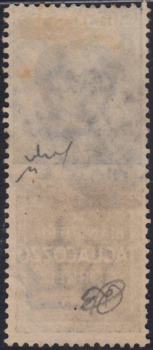 Kingdom of Italy, advertising issues, c. 25 light blue and brown "Piperno" new with intact rubber (6)