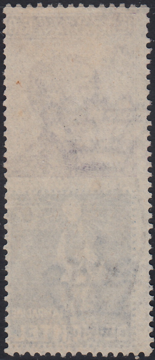 Kingdom of Italy, advertising issues, c. 25 light blue and brown "Piperno" new with intact rubber (6)