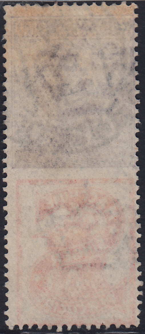 Kingdom of Italy, advertising issues, c. 25 light blue and brown "Piperno" new with intact rubber (6)