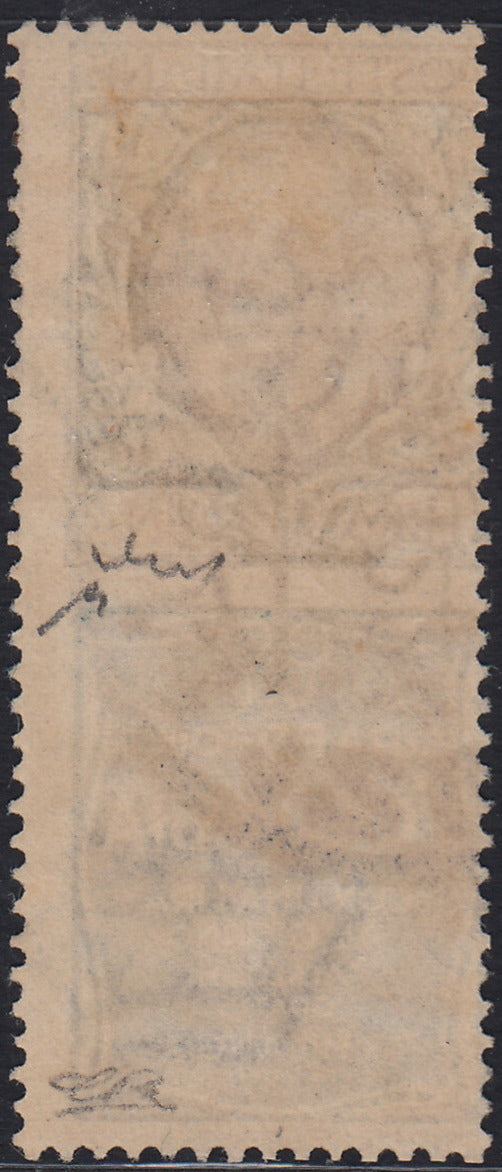 Kingdom of Italy, advertising issues, c. 25 light blue and brown "Piperno" new with intact rubber (6)