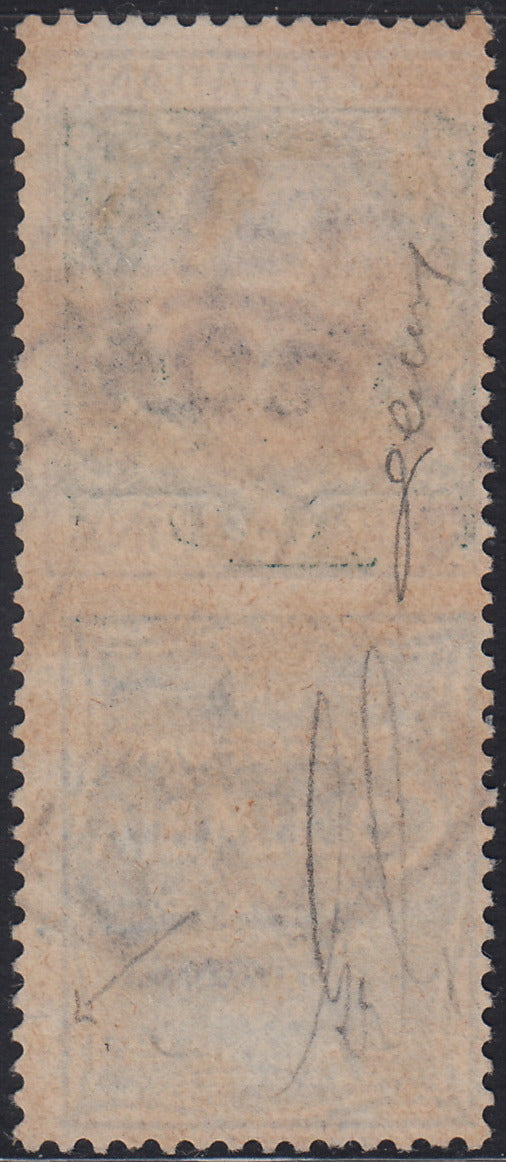 Kingdom of Italy, advertising issues, c. 25 light blue and brown "Piperno" new with intact rubber (6)