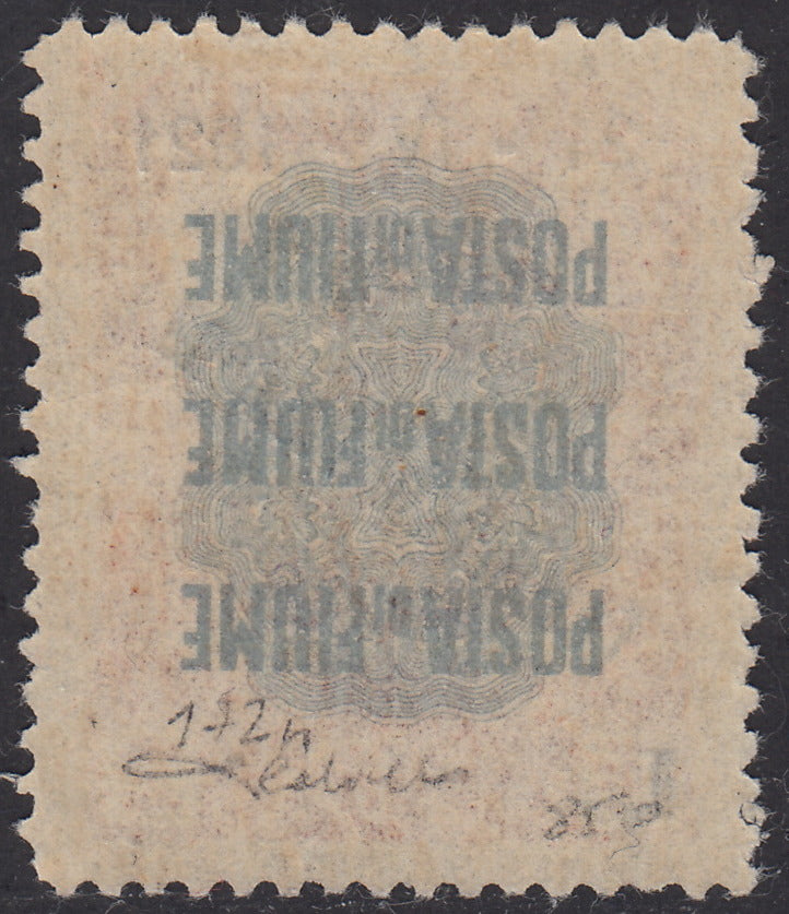 V523 - 1921 - Pro Fondazione Studio soprastampati COSTITUENTE FIUMANA L. 2 rosa bruno "Costiteente" nuovo con gomma originale (172n)