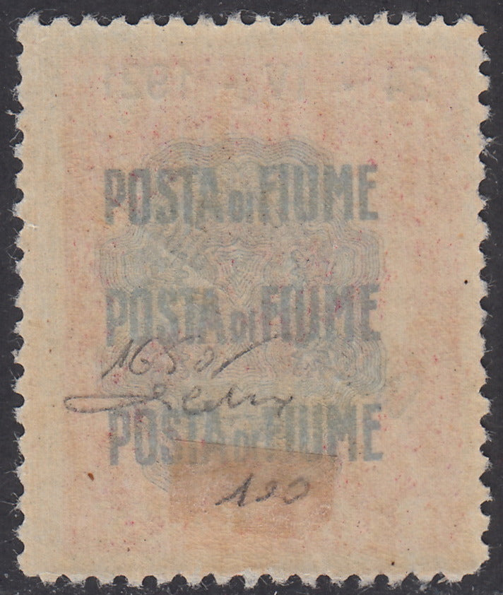 V533 - 1921 - Pro Fondazione Studio soprastampati COSTITUENTE FIUMANA c. 10 carminio con soprastampa capovolta (165a)
