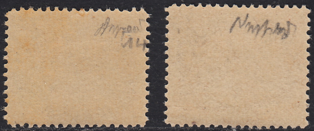 Vat9 - 1946 - Segnatasse, emissione nuova tiratura con linee del fondo più grosse, 5c. giallo e c. 20 violetto chiaro nuovi gomma integra (13, 14)
