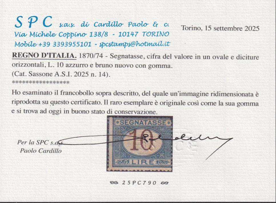 VEII_13 - Regno d'Italia 1870 segnatasse I serie L. 10 azzurro e bruno nuovo con gomma originale (14)