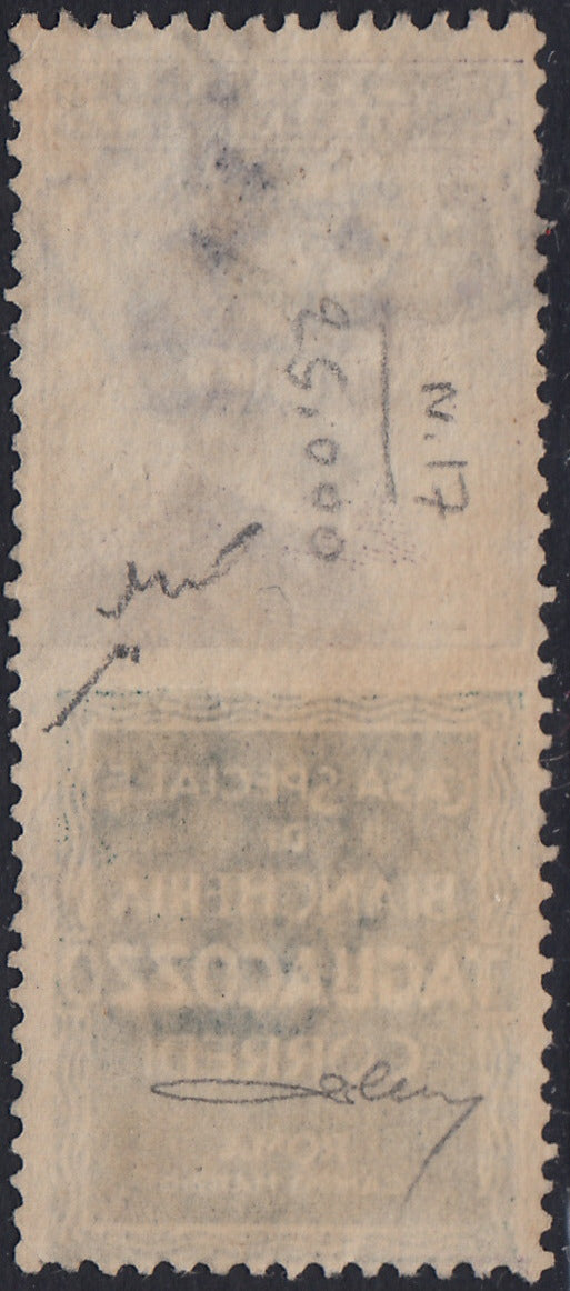 VEIII_75 - Regno d'Italia, emissione con appendici pubblicitarie, c. 50 violetto e verde "TAGLIACOZZO" usato (17)