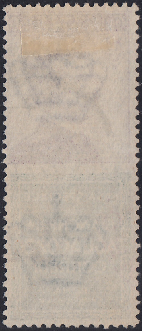 VEIII_76 - Regno d'Italia, emissione con appendici pubblicitarie, c. 50 violetto e verde "TAGLIACOZZO" usato (17)