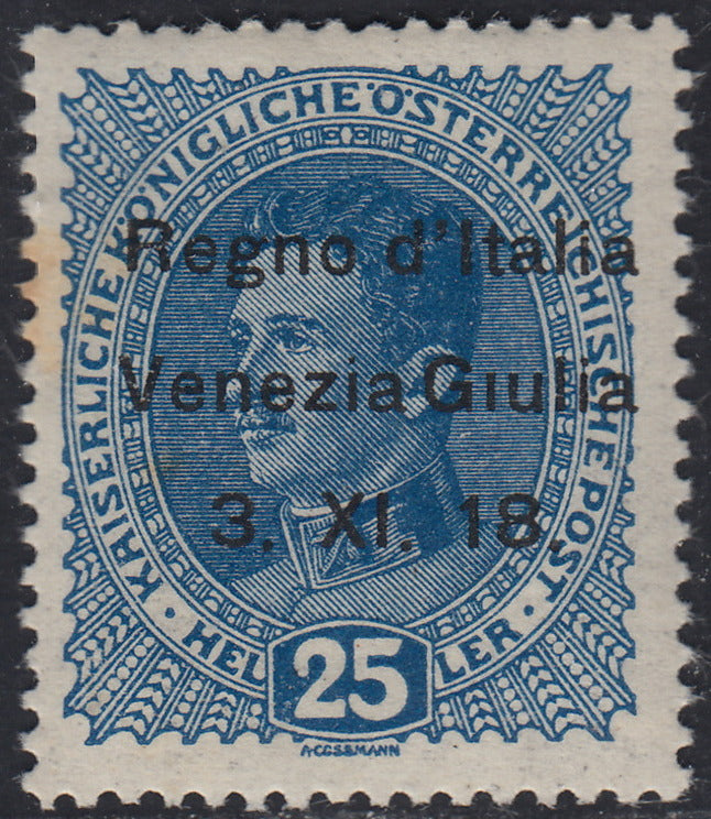 VG15 - 1918 - Francobollo d'Austria 25 heller azzurro soprastampato, varietà "Senza punto sulla prima I di GIULIA" nuovo con gomma originale (8l)