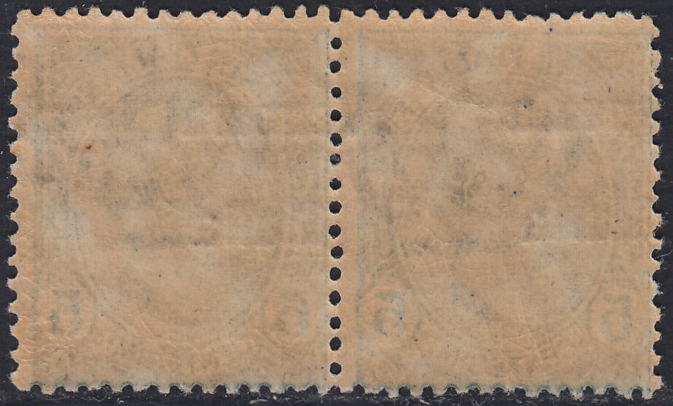 VG18 - 1918 - Leoni, c. 5 verde con soprastampa fortemente spostata a sinistra "enezia"- "Giulia V" coppia orizzontale nuova gomma integra (21ead)