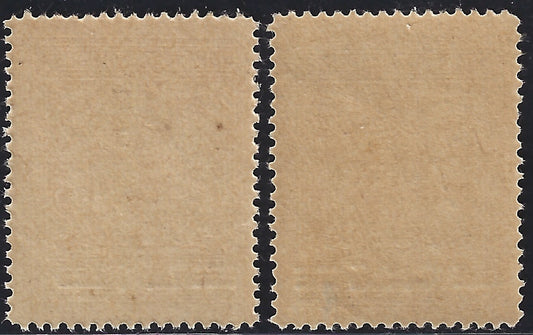 Vat16 - 1946 - Nuova tiratura della serie "Medaglioni", due valori con soprastampa modificata nuovi con gomma integra (103A, 104A)