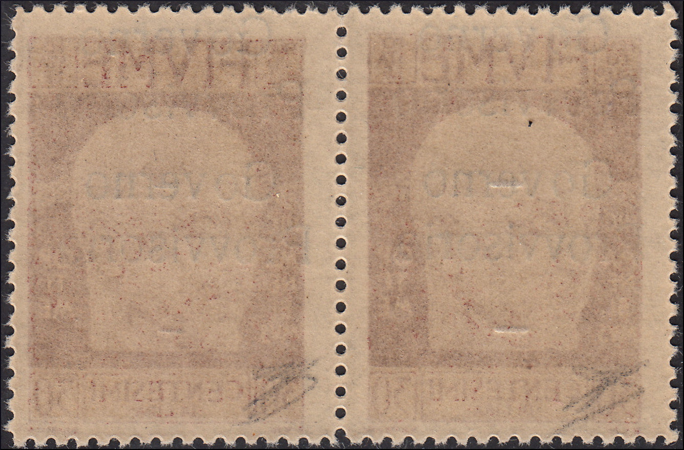 Fiume259 - 1921 - D'Annunzio, soprastampato GOVERNO PROVVISORIO capovolta c. 30 bruno rosso coppia orizzontale nuova gomma integra (154b)