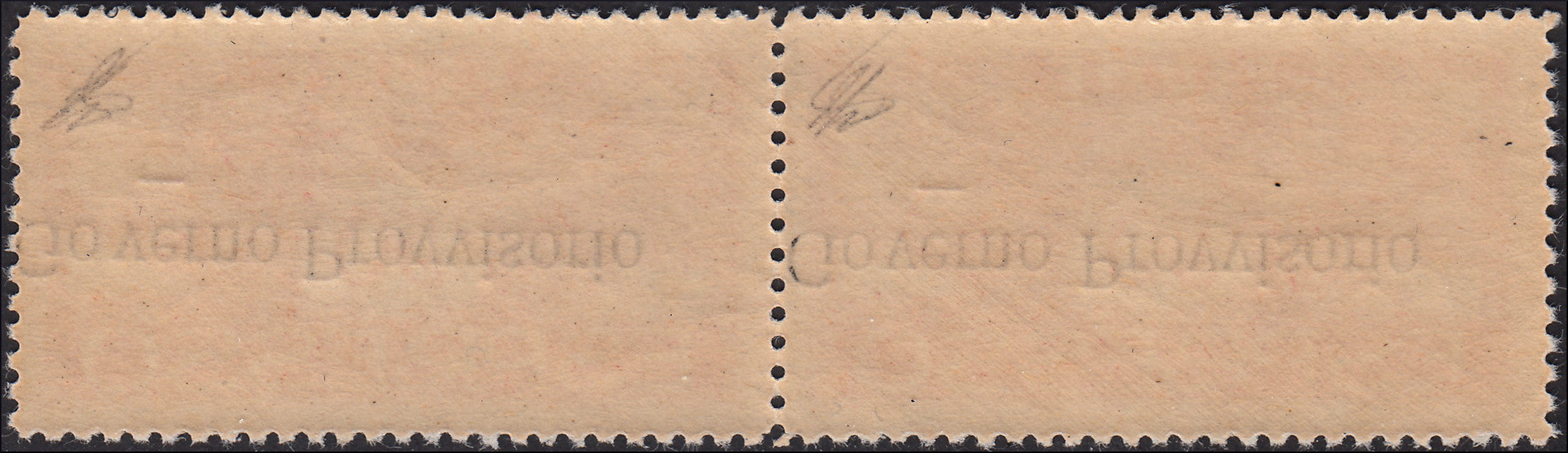 Fiume_278 - 1920 - Effigie di D'Annunzio, Espresso c. 50 rosa coppia orizzontale con soprastampa GOVERNO PROVVISORIO capovolta nuova integra (E6a)