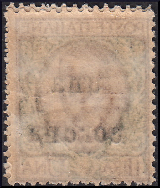 AO19 - Terre redent - Dalmatia, Floral L. 1 overprinted with new value of 1 crown, new TL (1)
