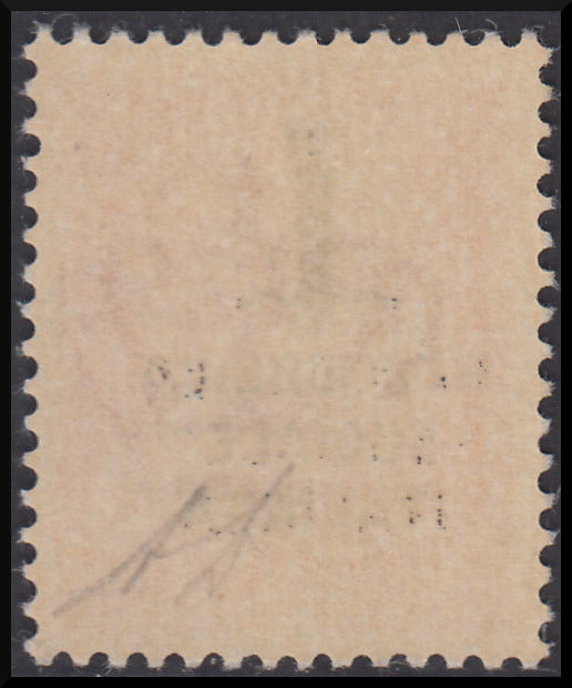 R.S.I. esemplare soprastampato per errore, c. 20 carminio "Giulio Cesare" con soprastampa tipo "k" in nero (495/A)
