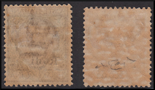 Egeo16 - Italian colonies, Aegean, Italian stamps overprinted Rhodes * (13, 14) 