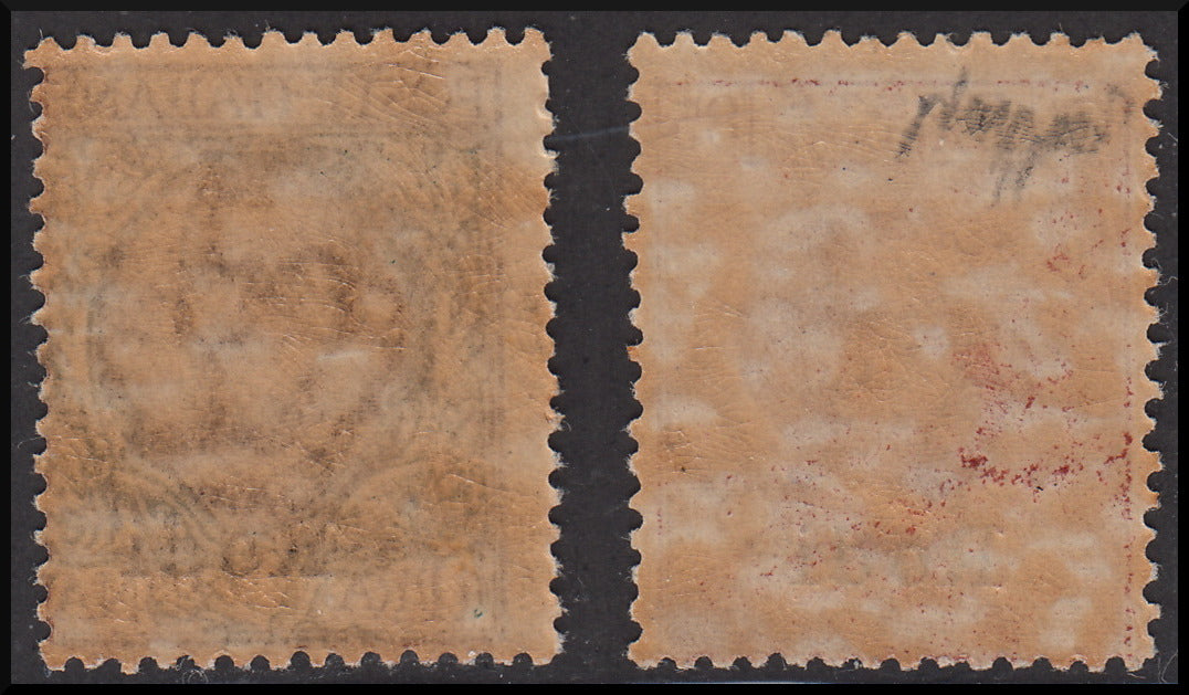 Italian colonies, Aegean, Italian stamps overprinted Rhodes ** (13, 14) 