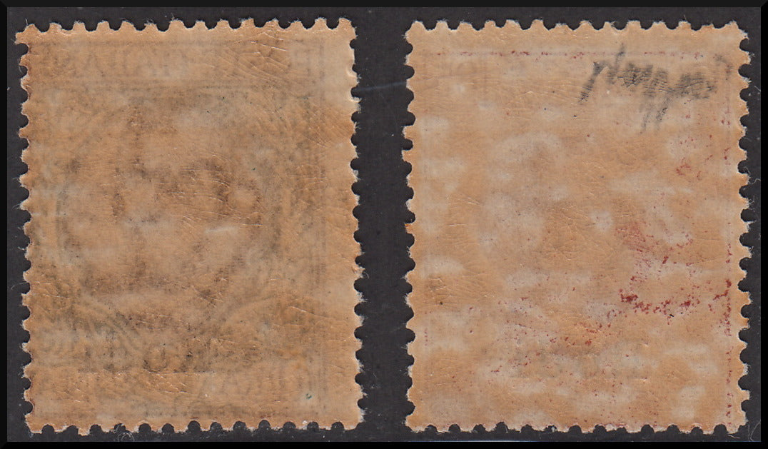 Colonie Italiane, Egeo, francobolli d'Italia soprastampati Rodi ** (13, 14)