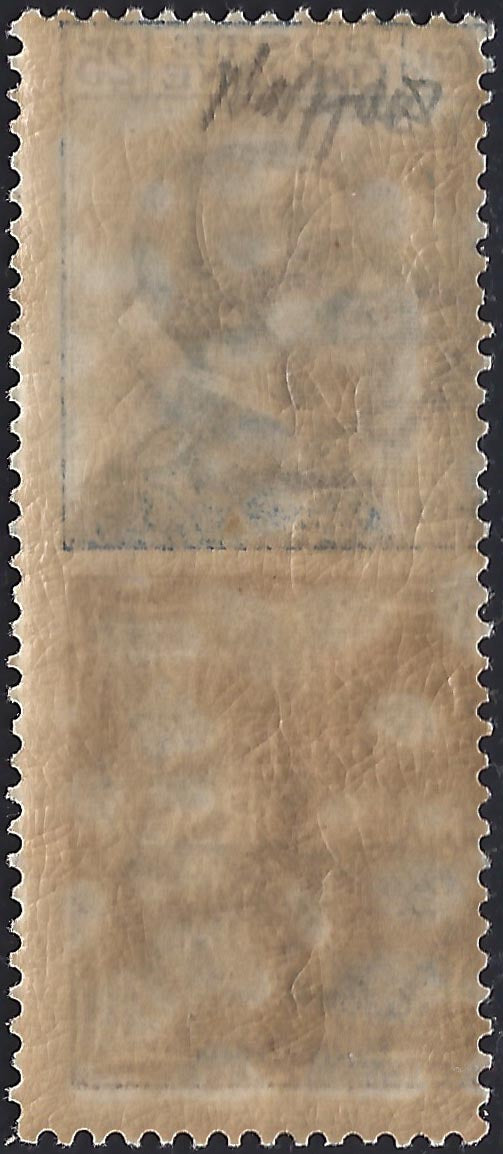 Kingdom of Italy, advertising issues, c. 25 light blue and brown "Piperno" new with intact rubber (6)