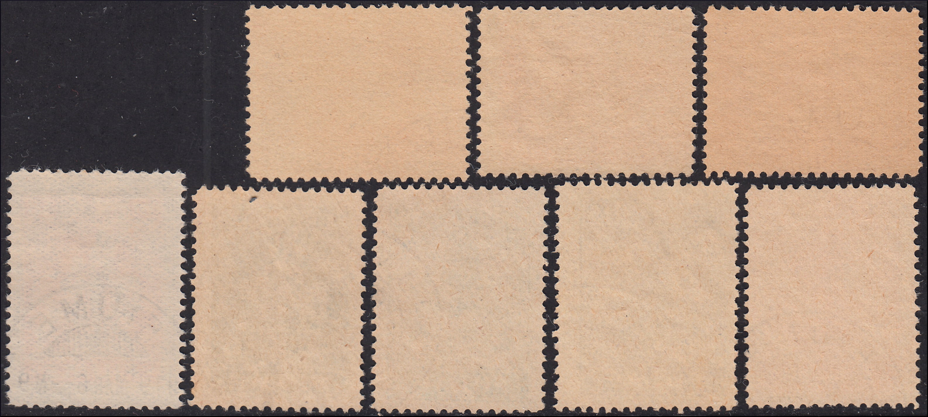 Fiume 1919 - Allegories and series views of values ​​on used type A paper (thin, porous and of poor quality) (A35/44 + A48)